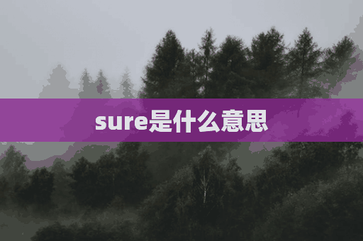 sure是什么意思(sure是什么意思中文)